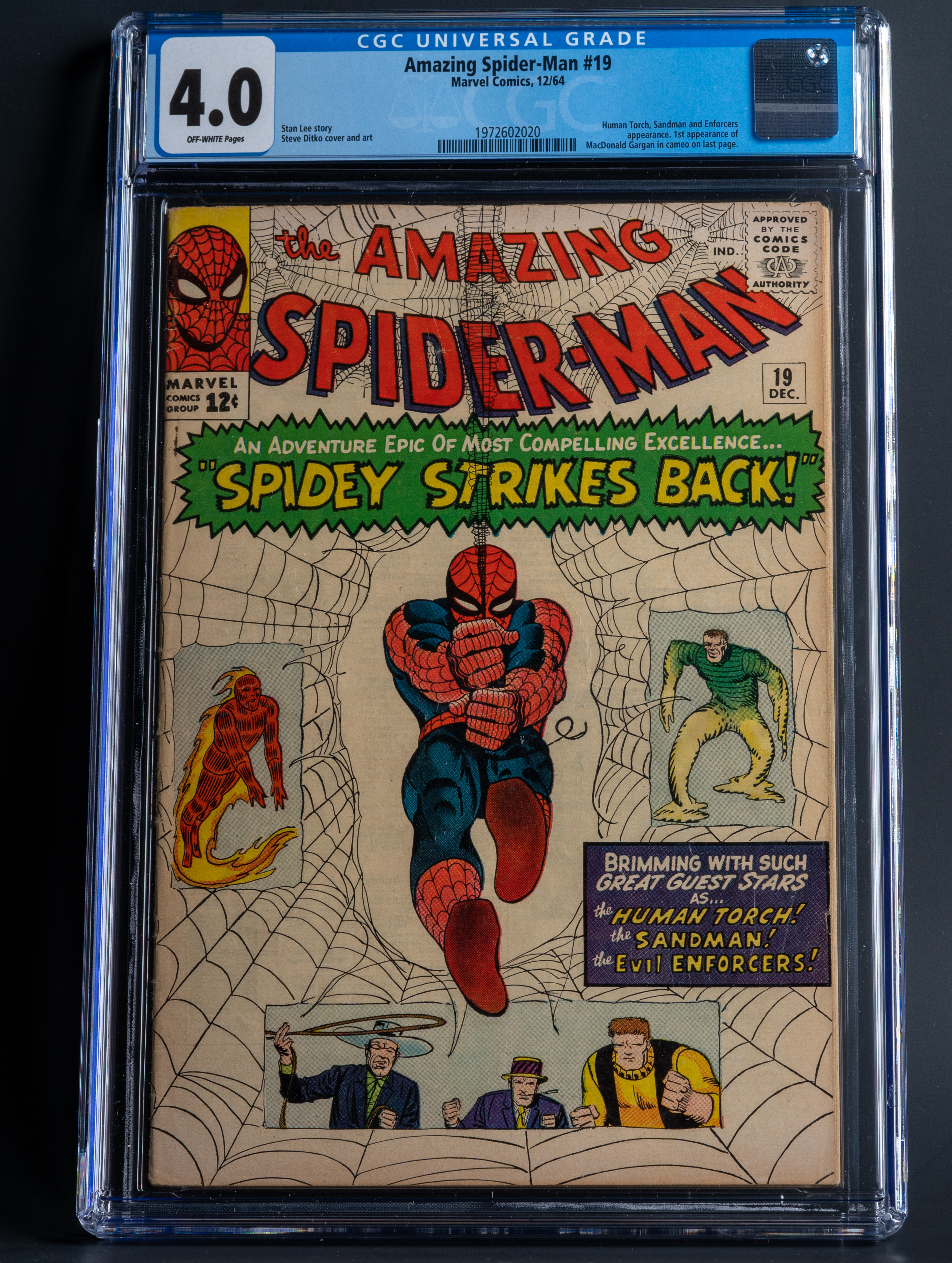 The Amazing Spider-Man #19